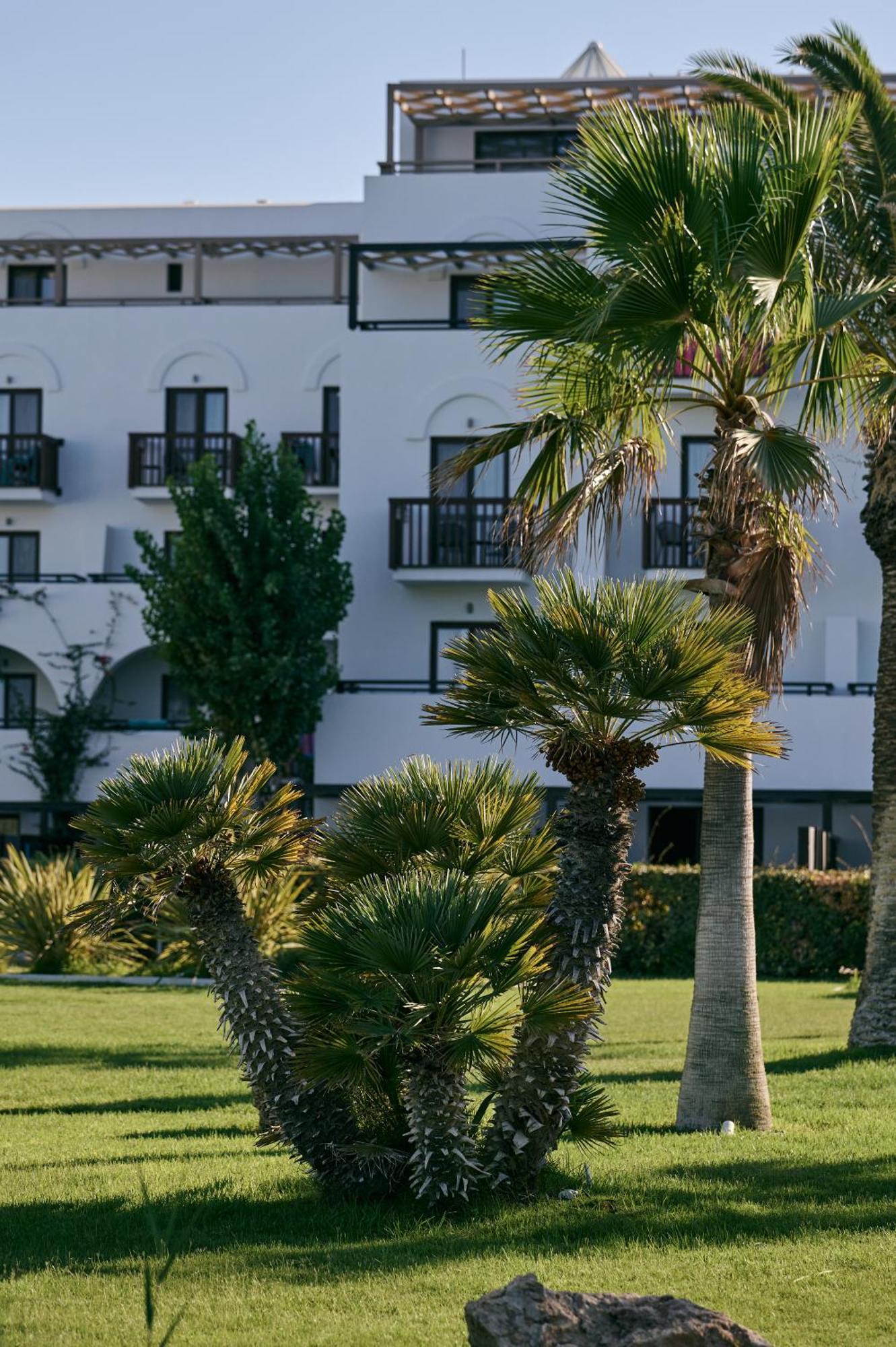 Oceanis Beach & Spa Resort Psalidi  Eksteriør bilde
