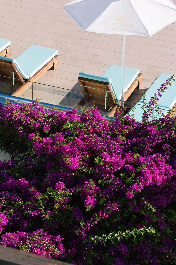 Oceanis Beach & Spa Resort Psalidi  Eksteriør bilde